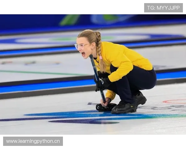 瑞典队冲击2026世界杯：当前阶段表现稳健，竞争力持续提升